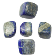 Lapis Lazuli Tumbled Stone - Love Rocks